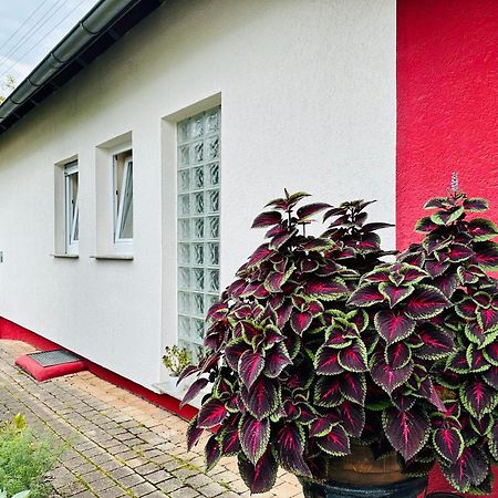 ☆Gemuetliche 1-Zimmerwohnung Mit Terrasse☆ Rielingshausen Exterior foto