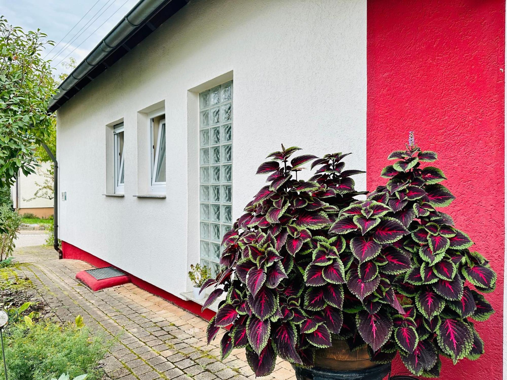 ☆Gemuetliche 1-Zimmerwohnung Mit Terrasse☆ Rielingshausen Exterior foto
